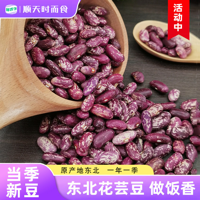 东北大粒花芸豆农家新货紫花芸豆花腰豆大碴粥搭配饭豆五谷杂粮