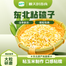 东北黄粘碴子软糯大碴子粘苞米玉米糁粘大碴子黏玉米黄黏碴25年