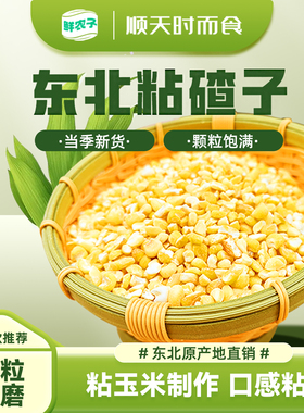 东北黄粘碴子软糯大碴子粘苞米玉米糁粘大碴子黏玉米黄黏碴25年