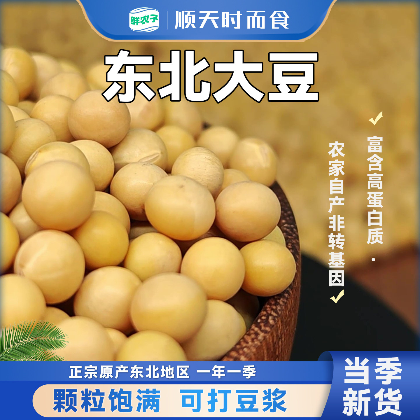 东北黄大豆高蛋白新豆农家自产五谷杂粮豆浆豆芽非转基因黄豆粗粮