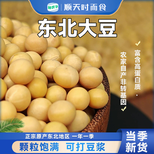 东北黄大豆高蛋白新豆农家自产五谷杂粮豆浆豆芽非转基因黄豆粗粮