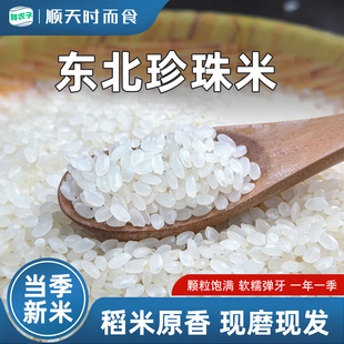 东北大米正宗珍珠米家用煮粥当季圆粒新米农家现磨软香米小包装