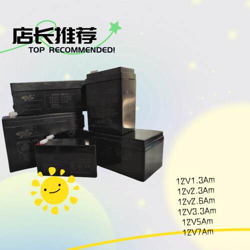 LONG WAY电瓶儿童电动童车 龙威蓄电池 6V 12V 4.5A 7A 10AH 3FM7