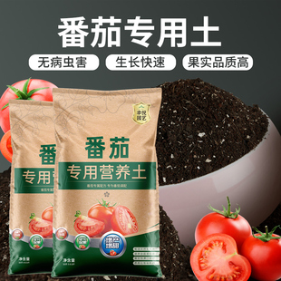 速发番养专用土小西红柿营茄土盆栽育机有苗土壤圣果种植土专用肥