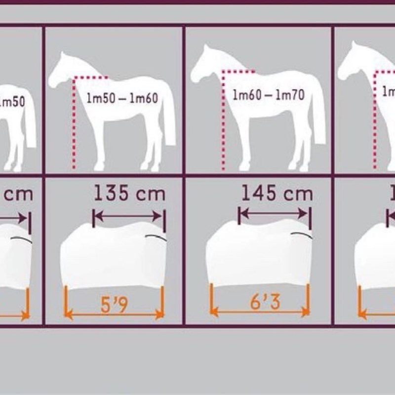速发冬季加厚马衣马场大马马驹防水防寒保暖带脖套马衣加绒防水面