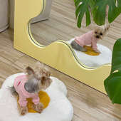 小甜粥薄款 打底空调服马尔济斯约克夏狗狗猫咪衣服