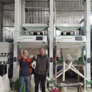 色选机大米精选机米店家用小型分色机智能大米色选机分选机