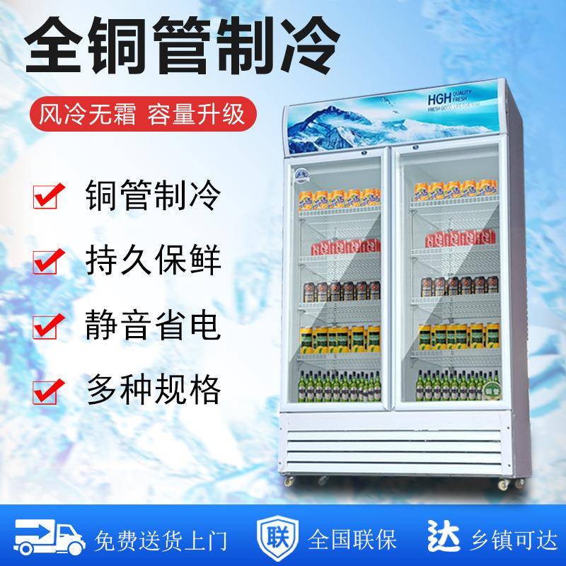 饮料展示柜冷保鲜商用双冰箱立式单玻门大容藏量璃超市224冰柜