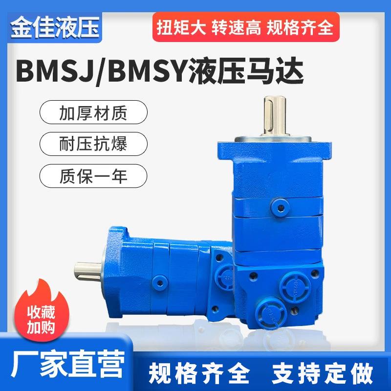 钻机卷用摆线液压马达B达M/OMS低速RAG摆线马参数摆线行走马达扬