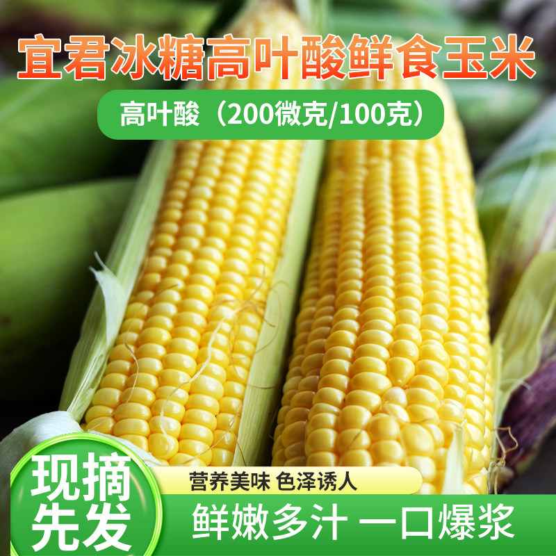 皇后村宜君冰糖高叶酸鲜食玉米脆嫩香甜爽脆爆浆生熟两吃