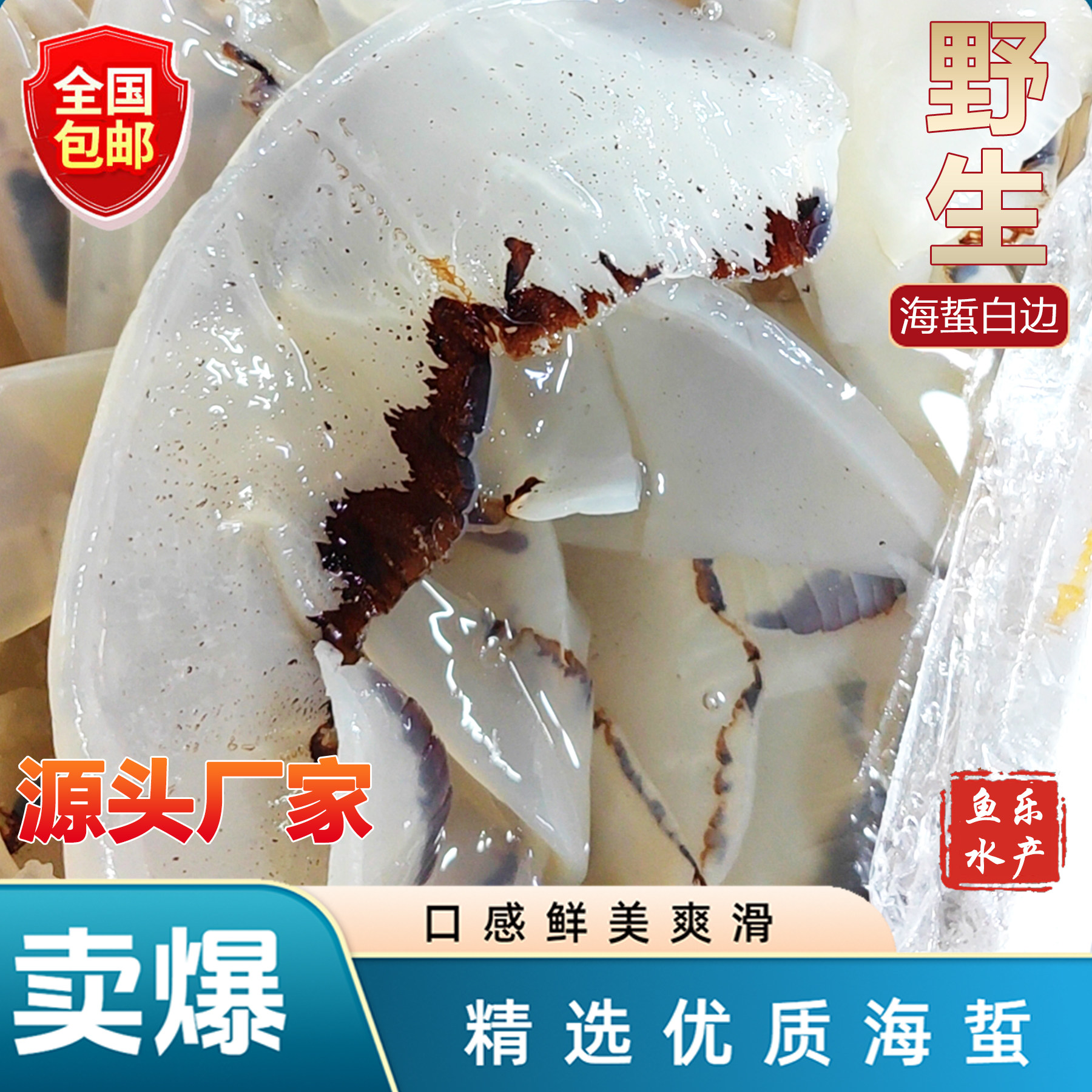 鱼乐水产[包邮]正宗海蜇边裙边母花水母花酒店刺身海蜇花仔凉拌菜