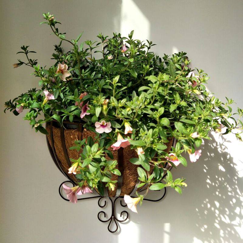 欧式铁艺室内外壁挂吊兰绿萝花架几客厅户外墙上悬挂花盆架子