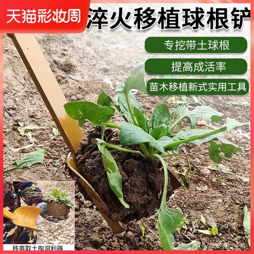 速发农铲球根土植铲洛用铁锹铲子户外挖移园林工具家用种花移苗神