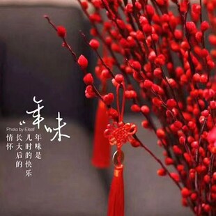 速发银柳真花鲜枝年宵花卉七彩红色银柳干花柳枝水培客厅装饰植物