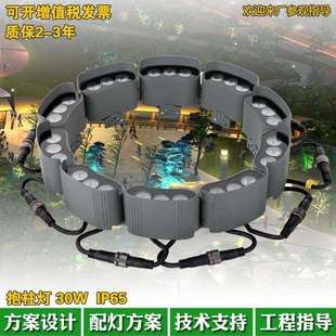 科锐光源LED抱树订DMX512RGB全彩外控照树订30W72W链条订抱柱订