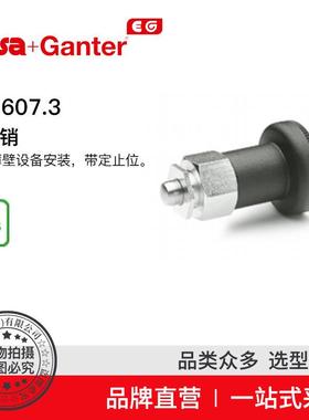 ElesaGanter伊莉莎冈特GN607.3分度销用于薄壁设备安装