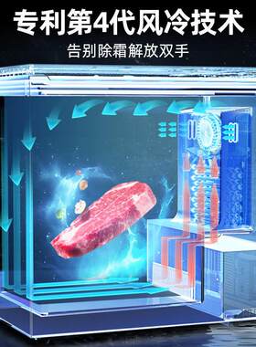 冷BD\/BC-1冰柜家用一 级能效节能冷藏全冷冻柜小型300升风冷无霜
