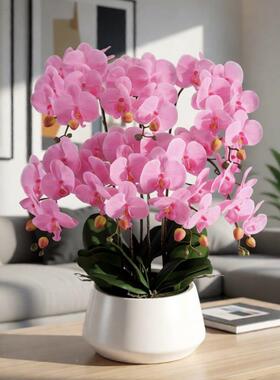 蝴蝶兰仿花摆件陶瓷客厅兰1115花装饰花白色植物室花代卉现真轻奢