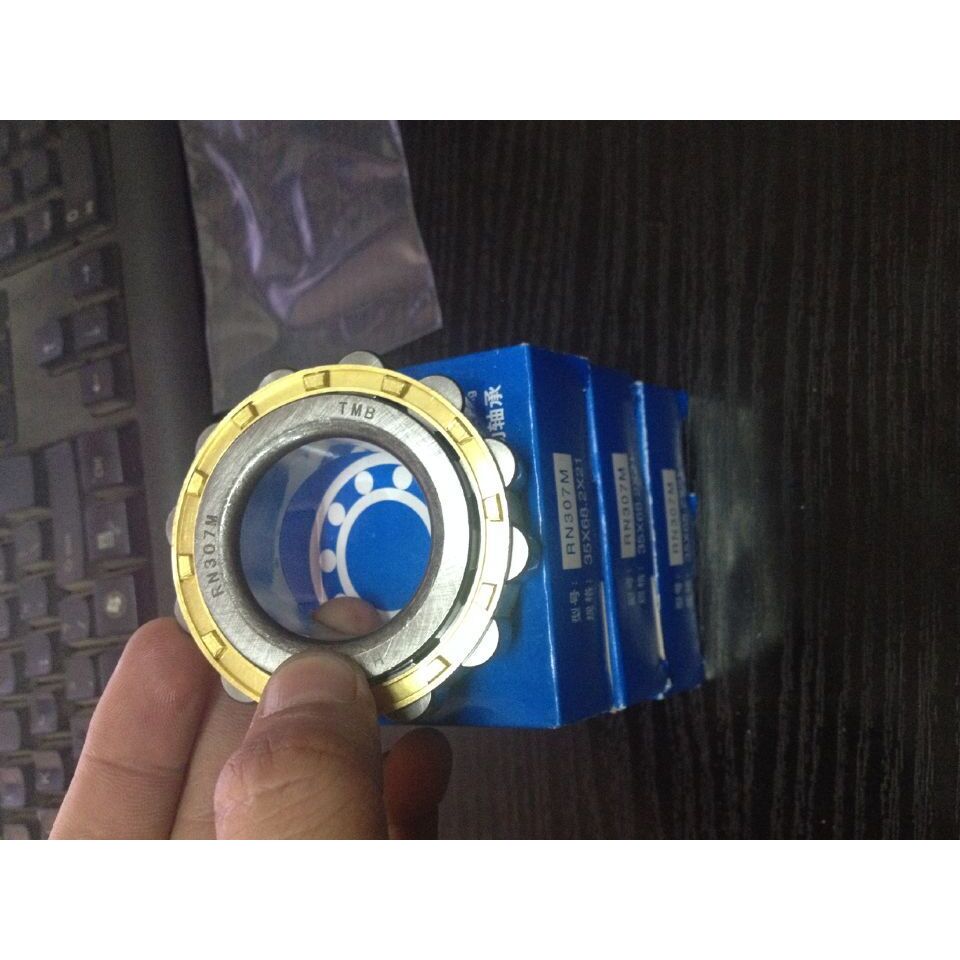 RN307M偏心轴承 RN308M RN308M RN306M RN305M RN304M