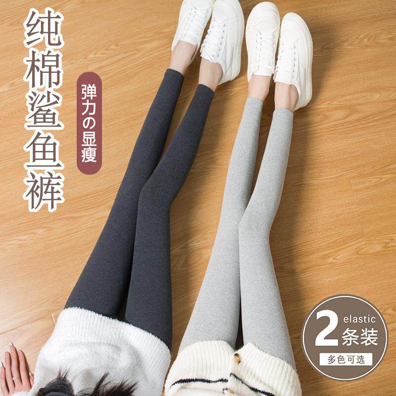 纯棉鲨鱼裤春秋季打底裤女外穿高腰弹力紧身瘦腿瑜伽裤冬加绒加厚