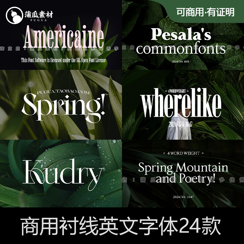 免费商用英文字体高级轻奢衬线风格 fcpx procreate ps字体包下载