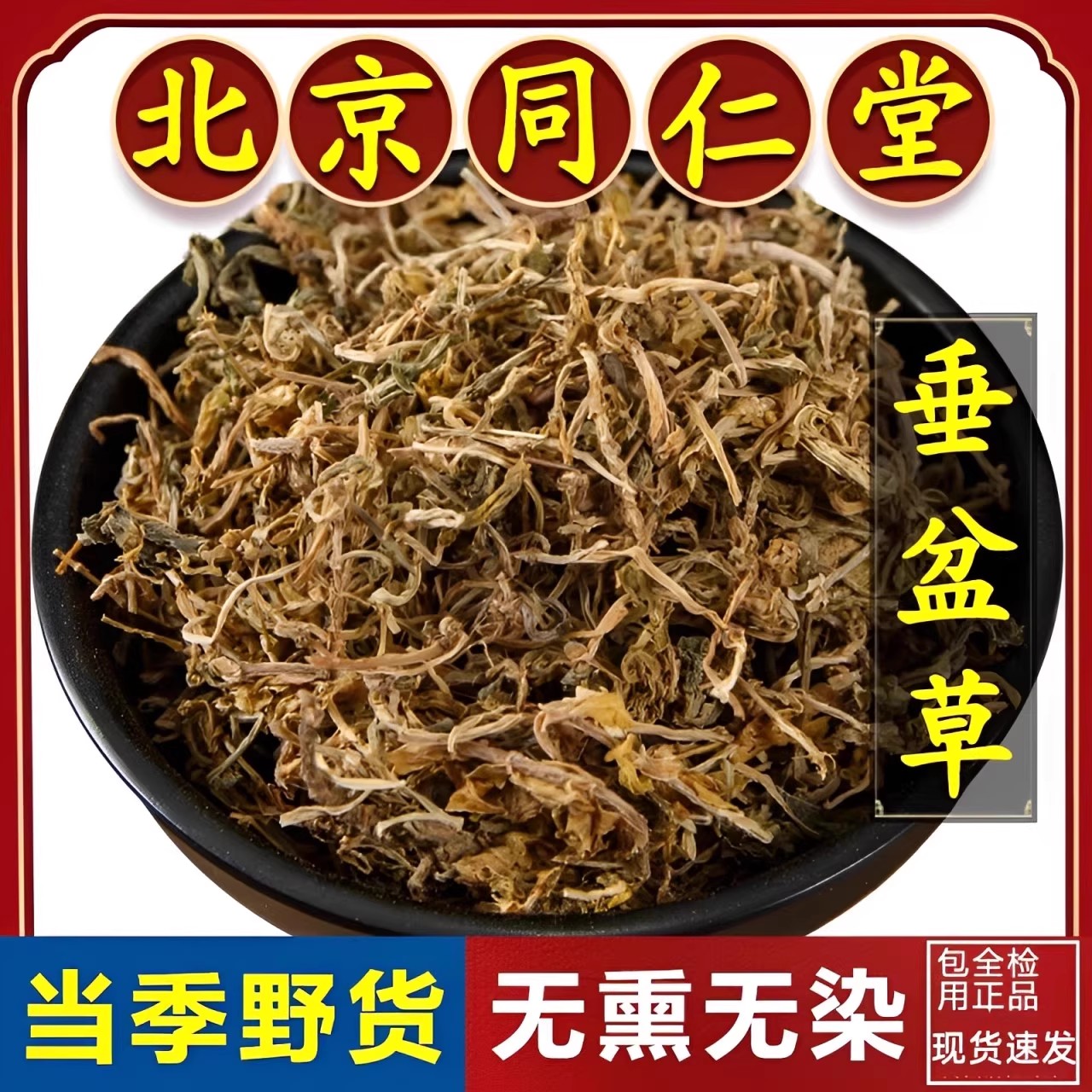 同仁堂药用垂盆草中药500g正品干锤盆草中药材野生泡水垂盆草泡茶