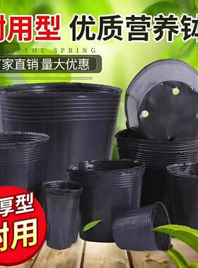 营养育苗杯塑料小碗一次性花盆黑色种植营养袋育苗袋育苗盆营养钵