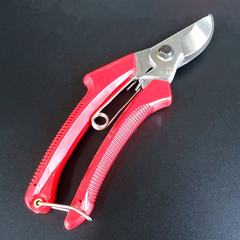 卉林牌 园艺剪刀 园艺工具修枝剪 小树枝剪修花剪 剪枝剪果枝剪