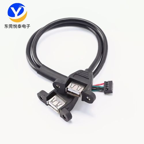双母口USB2.0扩展线1分2接口带螺丝孔固定机箱9P内置线挡板主板