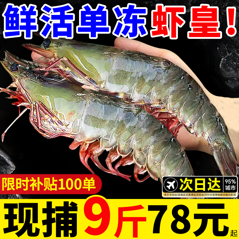 ϺʻٶΧϺشϺϺ䶳ൺζϺϺˮ58Ԫ