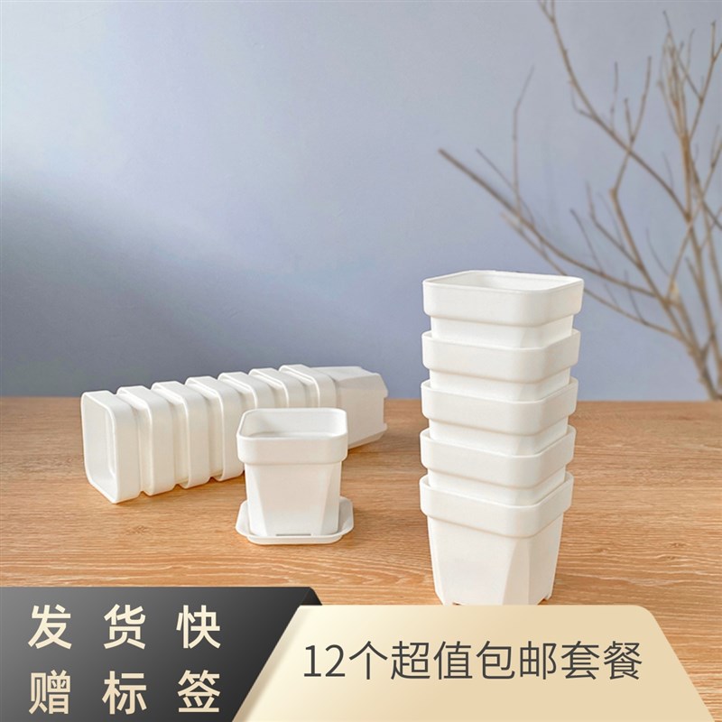 速发特厚款多肉专用矮浅方盆生石花料锥播种塑肉简约扦白小插方拇