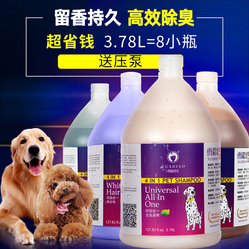 速发金桶洗澡香澡泰迪大毛博美洗波液