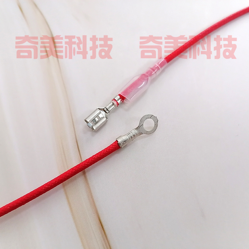 速发电炖锅电炒锅高压锅蒸汽挂烫机熨斗保险管丝耐高温250V10A