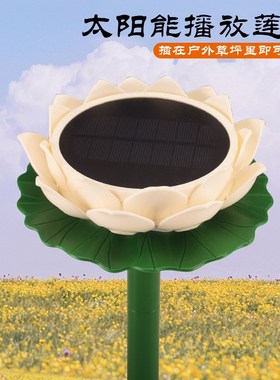 速发藏族莲播花放摆金种内置5字创意装饰2器件家用财神露天花园太