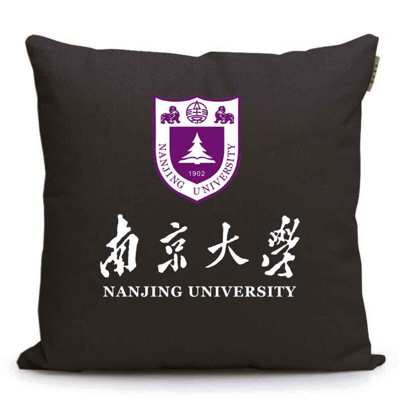 速发南京大学南大纪念品校徽礼品毕业礼物班级靠垫抱枕