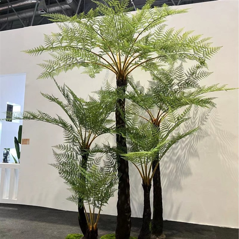 速发大型桫椤树工程项目沙罗树手工造景道具蕨类花树