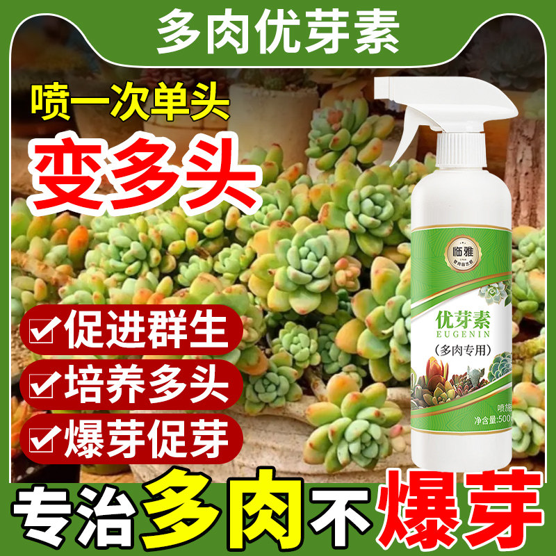 速发优芽素多肉专用爆芽素矮胖液肥料绿植物催芽促群生营养素
