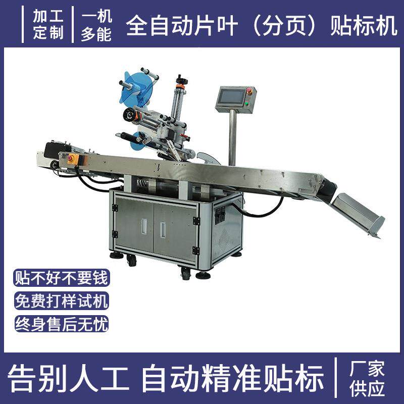 全自动卡片标分贴标机立式贴纸箱纸盒快BDG页递用打标高速标防伪
