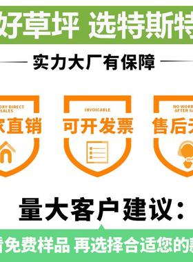 工地地围挡草坪毯人绿色造FKP塑料假草皮网建筑人施工绿植工围墙