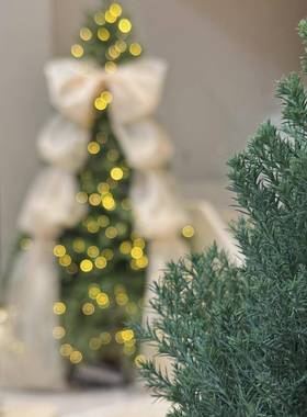 圣诞树家用客摆件大型圣厅诞225F9858597新款0树圣诞节装饰场景布