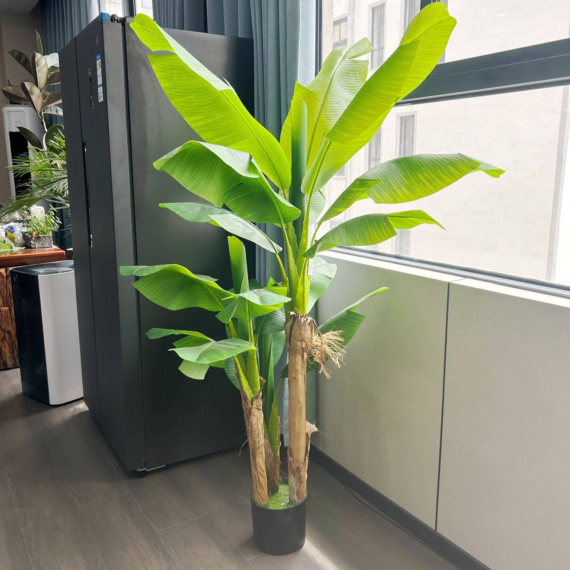 2025大型仿真大叶子芭蕉树装饰仿生植内室造高端植SAI物假绿树景