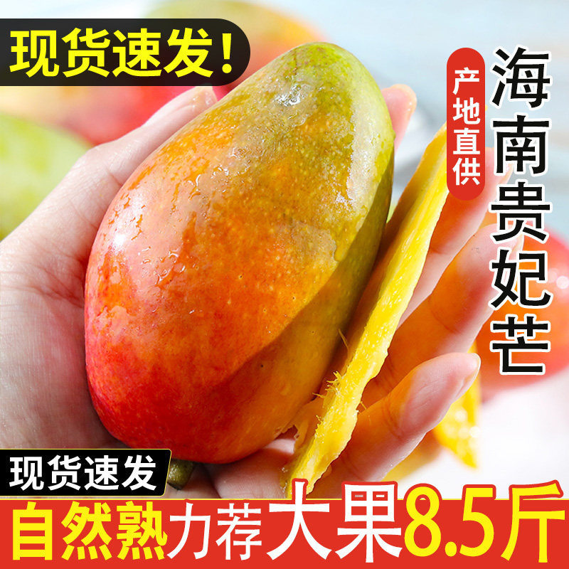 海南贵妃芒新鲜芒果应当季水果树上熟红金龙辣椒芒甜心芒大果整箱