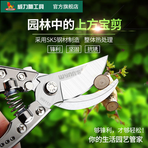 威力狮园艺剪刀修枝剪果树粗枝剪SK5钢省力家用修花剪刀园林工具