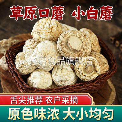 口蘑干货白蘑菇张家口特产口蘑新鲜口蘑菇草原白蘑口菇双孢菇200g