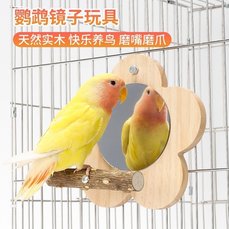 花椒木站架镜子虎皮牡丹玄凤啃咬棒站台鸟笼栖息站杆鹦鹉用品玩具
