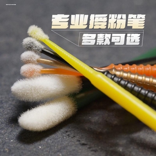 授粉笔罗汉果人工授粉工具西红柿黄瓜西瓜多肉点花授粉刷棒神器