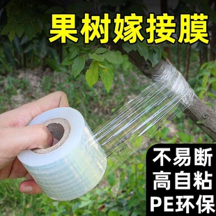 园林果树嫁接胶可调节嫁接膜 嫁接膜专用膜PE无需打结薄膜自粘式