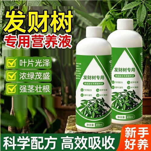 发财树专用营养液肥料水培植物叶