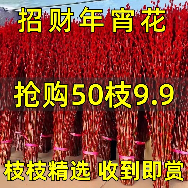 银柳真花鲜枝年宵花卉红色干花福桶银柳水培植物雪柳客厅室内装饰,鲜花速递/花卉仿真/绿植园艺,红掌/凤梨/温室花卉,淘宝优惠券,粉丝福利购,淘宝优惠卷