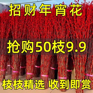 银柳真花鲜枝年宵花卉红色干花福桶银柳水培植物雪柳客厅室内装饰